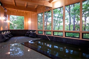 �������V�_�T���΍H��